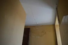 53bef0172aa1.webp