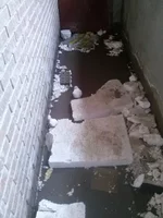 dfdd8f15f923.webp