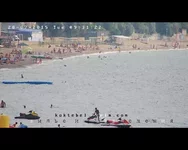 kokt.webp