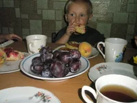11207311_1673010766251097_6826344401510314688_n.webp