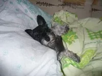 image.webp