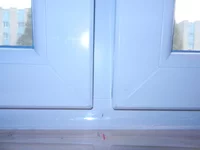 DSCN8318.webp