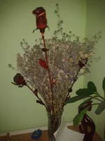 2015-07-27 20.42.32.webp