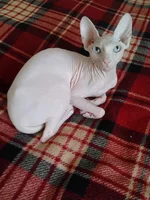 xXUe9rjIO8o.webp