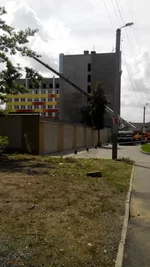 IMG_20150729_125316_новый размер_новый размер.webp