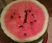IMAG0229-1.webp