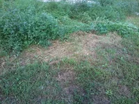 -0039.webp