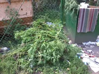 -0041.webp