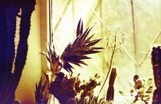 Image12.webp