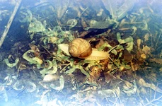 Image4.webp