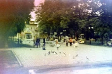 Image27.jpg