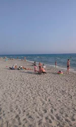 IMAG2067.webp