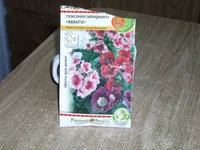 SDC18238.webp