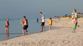 IMG_0412_v.gif