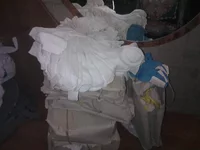 WP_000759.webp
