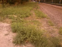 -0056.webp