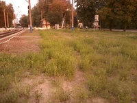 -0052.webp
