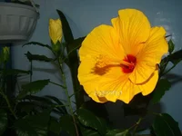 DSC08610_.webp