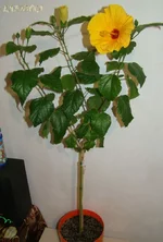 DSC08624__.webp