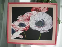 DSCN3406.webp