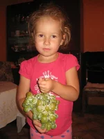 IMG_9229.webp