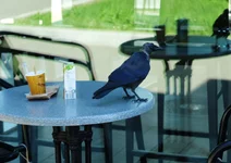 DSCF1242.webp