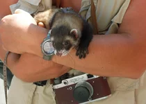 DSCF1447.webp