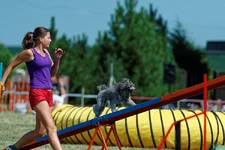 4179.webp