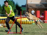 4089.webp