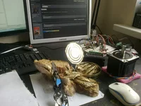 18082015747.webp