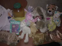 WP_000769.webp