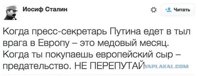 6037020.webp