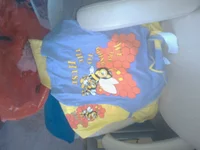 WP_000778.webp