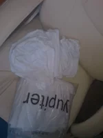 WP_000782.webp