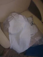 WP_000781.webp