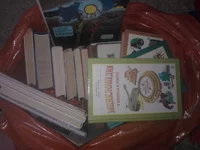 WP_000771.webp