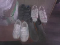 WP_000784.webp
