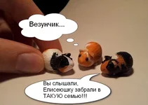 .webp