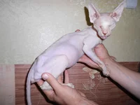 DSCN2506.webp