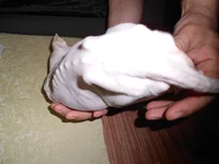 DSCN2507.webp