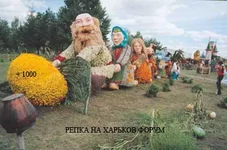 repka.jpg