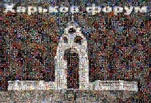 065_text-форум40080x55.jpg