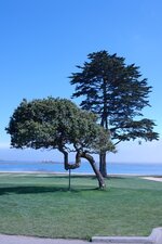 Bday_Monterey 170.jpg