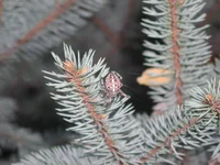 EPSN0056.webp