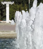 struya_2.webp