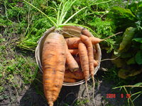 DSC01935.JPG