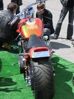 tg_image 053_ol.webp