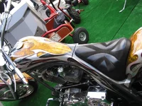 tg_image 055_ol.webp