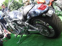 tg_image 054_ol.webp