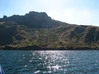 11.webp
